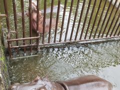 -海南热带野生动植物园