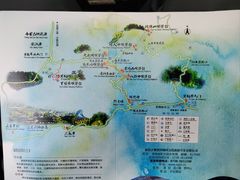 -紫鹊界梯田景区