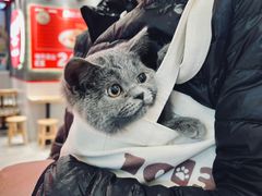 -1013 PET SHOP 宠物商店(近铁城市广场店)