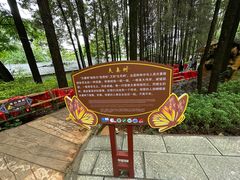 -蝴蝶泉公园