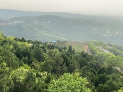 -华清宫景区