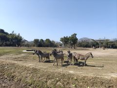 -宁波野生动物园