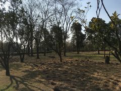 -两河城市森林公园