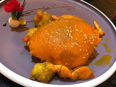 -高老庄新家宴(北斗星广场店)