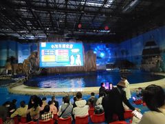 -华夏文旅海洋公园