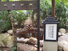 -融汇温泉