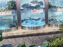 -老船舫·现做活鲜鱼馆(东郊记忆店)