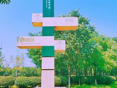 -西安浐灞国家湿地公园