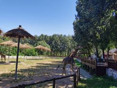 -北京野生动物园