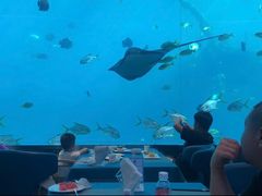 -瑞德姆美人鱼海底演艺主题餐厅(亚龙湾店)