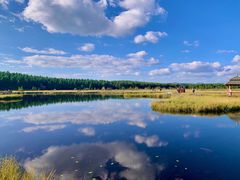 -塞罕坝国家级自然保护区