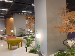 -帕帕拉兹宠物(亚洲旗舰店)