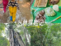 -西双版纳基诺山寨