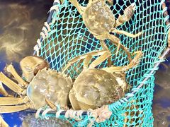 -阳澄湖大闸蟹·琼灵阁牌品牌连锁(吴中总店)