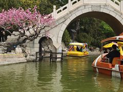 -团结湖公园