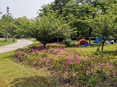 -九里河湿地公园