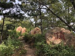 -遵化市禅林寺古银杏风景园