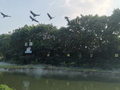 -广州长隆飞鸟乐园