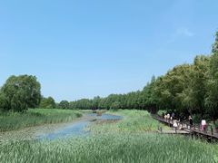 -苏州太湖湖滨国家湿地公园