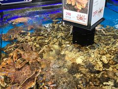 -盒马鲜生(岭南新世界店)