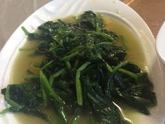 -明珠湖天鹅苑·农家菜馆