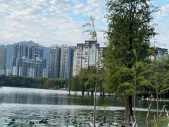 -飞来湖湿地公园