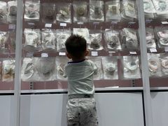 -KKV(深圳宏发大仟里店)