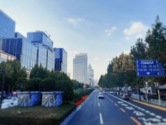 -BUS TOUR观光巴士