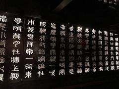 -啤仕多·啤客国潮跳舞BAR(保俶路店)