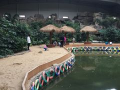 -世界地热博览园