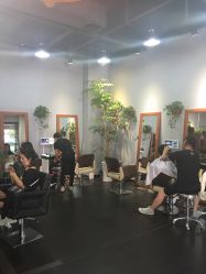 -discovery 发现 hair salon