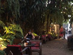 -Fern Forest Cafe