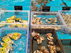 -艳阳天·非遗楚菜(武汉客厅店)