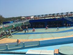 -秦皇岛乐岛海洋王国