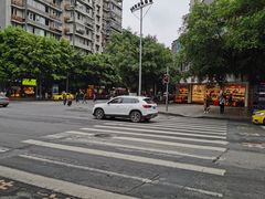 -黔江古镇鸡杂(新民街店)