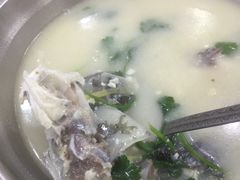 芫茜鱼汤-红星光发煲仔饭(大石街店)