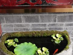 -红鼎坊·老成都火锅(新南门店)