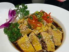 捞汁鸡-高第街56号餐厅(泰安万达店)