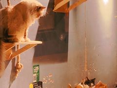 -RP酒吧·静吧·BAR