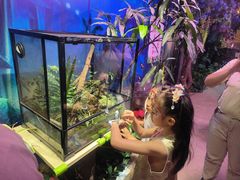 -正佳雨林生态植物园