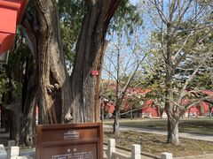 -北京市劳动人民文化宫(太庙)
