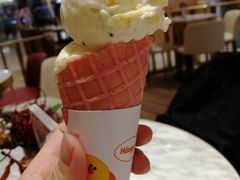 芒果猕猴桃冰激凌-哈根达斯(济南万象城店)