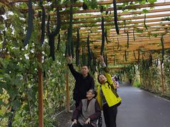 -中国天府农业博览园