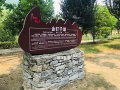 -金钉子远古世界景区