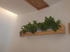 -金塔傣乡·云南民族特色菜·傣味手抓饭(金瓦路店)