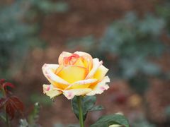 -人民公园(罗湖区)