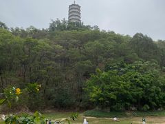 -深圳国际园林花卉博览园