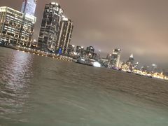 -新龙船黄浦江餐饮游船官方自营店