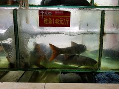 -干老四雅鱼饭店(滨江西路店)