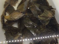 -金鼎雪山牦牛杂火锅(理县总店)